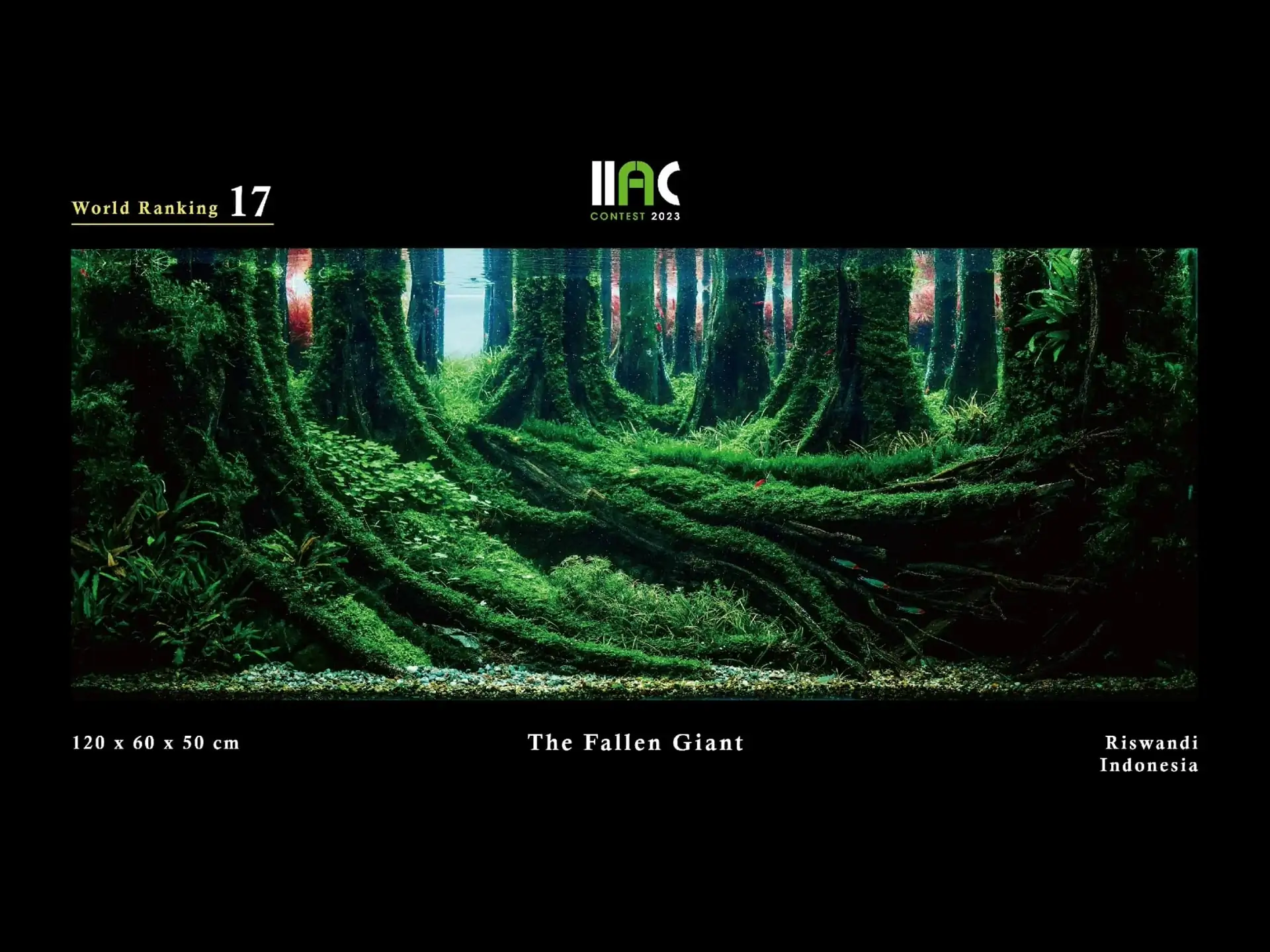 The Fallen Giant - IIAC 2023 #17 Riswandi / Indonesia